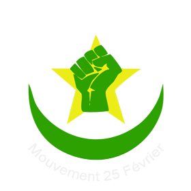 موريتانيا الجديدة.. هل تنجح في احتواء الربيع العربي؟