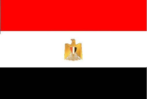 علاء الدين حمدى .. مرشحكم لرئاسة الجمهورية  ! !