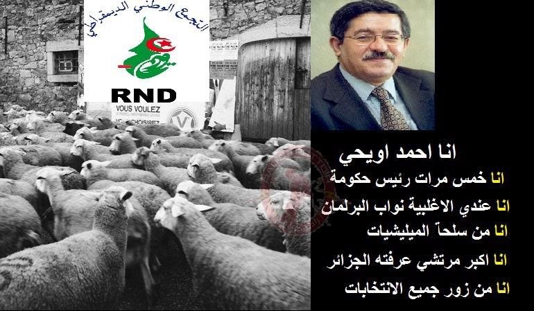 أويحي يهدد أي مقاطعة للانتخابات سيعيد الذبح والقتل في الجزائر