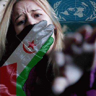 دبلوماسيون أمريكيون  يحذرون من انتهاكات صارخة لحقوق الانسان تمارس باسم \" القانون الدولي \" في تندوف