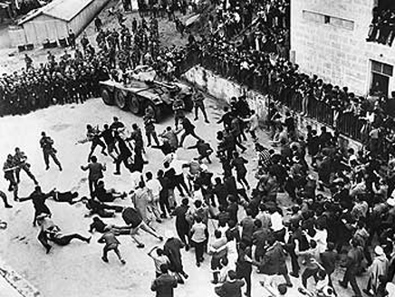 \"العربية\" تعرض وثائقيا لذكرى الثورة الجزائرية 1962