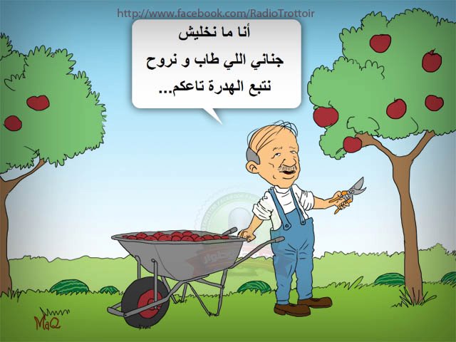 التعليق لكم ؟