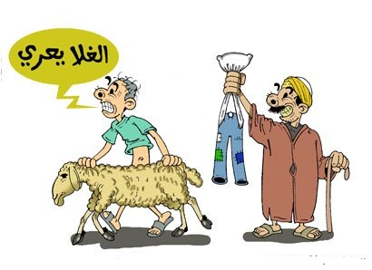 الجزائريون في مواجهة الإرتفاع الفاحش لأسعار الماشية عشية العيد