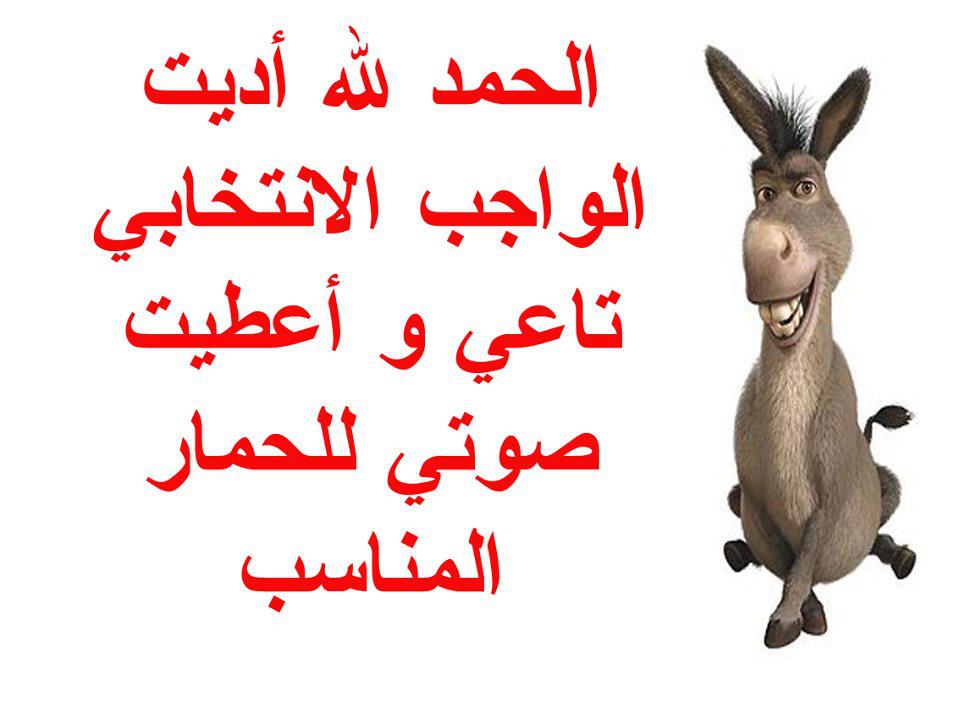 تصريحات ناخب شارك في الاستحمارات