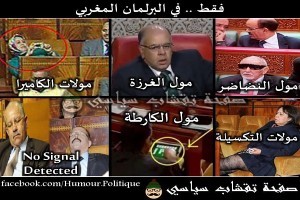 البرلمان المغربي: نواب ينامون أو يلعبون الورق... ويتبادلون السباب إن تحمّسوا