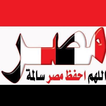 خروج ملايين المصريين للتصويت بنعم علي الدستور درسا قاسيا للثورة المضادة