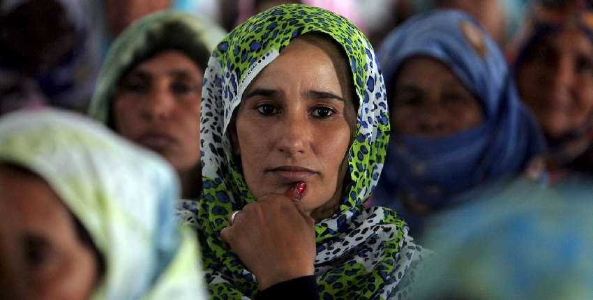 اقتراح الحكم الذاتي في الصحراء خطوة متسرعة أم حكيمة  ؟