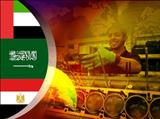الإمارات العربية المتحدة والمملكة العربية السعودية ومصر ضمن لائحة الدول الأربعين الأفضل عالميا في ال