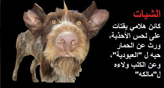 المنظمة الوطنية لحقوق الشياتين !!
