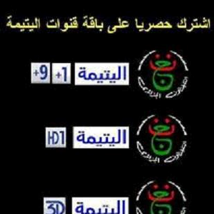 قناة اليتيمة الجزائرية = قناة الدنيا السورية