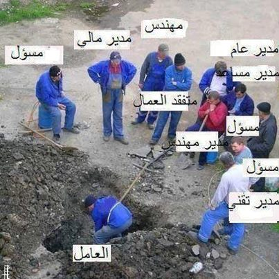 حال المؤسسات عندنا : واحد يعمل و 10 يعطون الاوامر