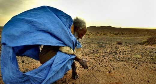 مأزق البوليساريو مابين كماشة الموريتانيين والبرابيش ودوي الجنسية الجزائرية‎