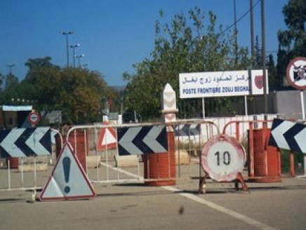 الكاوبوي الامريكي يتلاعب على زوج بغال