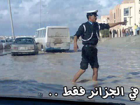 إننا عندما نصرخ بأن الجزائر تغرق فإننا نعني الغرق بأوسع معانيه