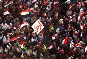 حركة \'تمرد\' في مصر تصل الى مجلس الشورى