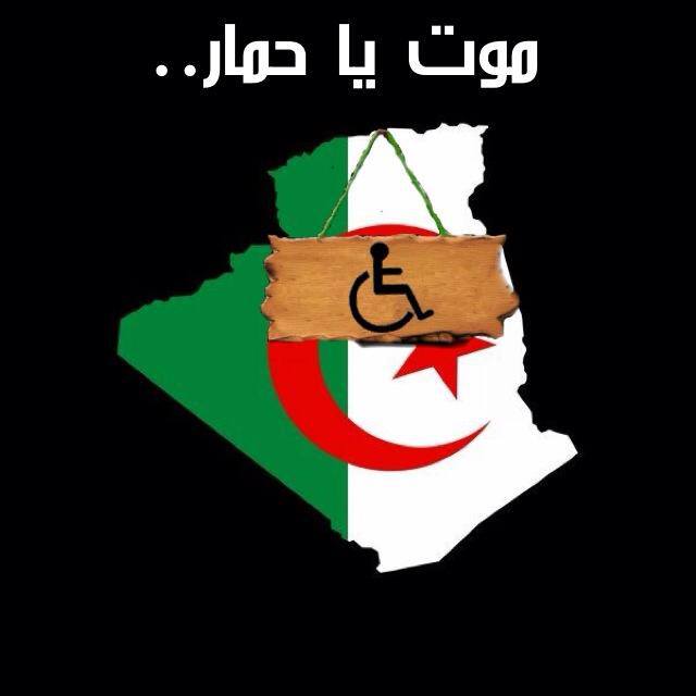 عودة بوتفليقة و عودة صراع الأجنحة‎