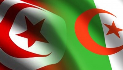 الحكومة الجزائرية تدعو إسلاميي تونس إلى ترك الحكم بعد أن فشلوا في تحقيق المطالب الشعبية