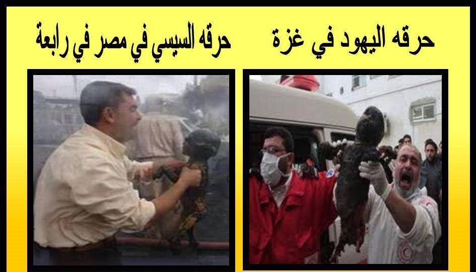التعليق لكم ؟