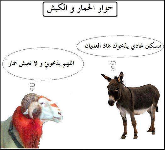 والفاهم يفهم