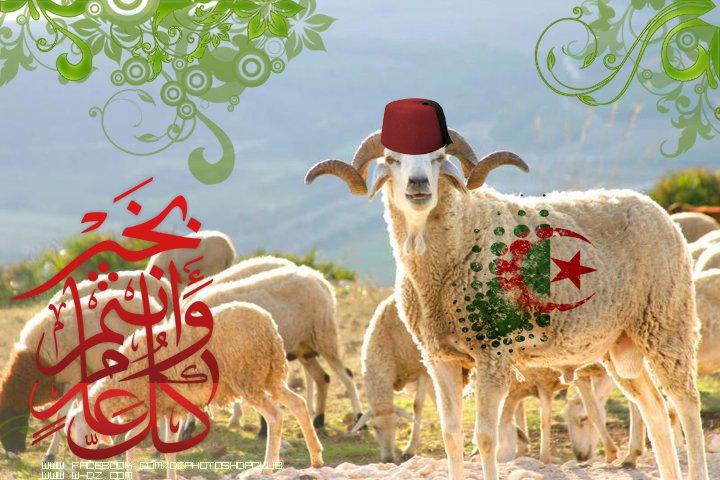 عيد أضحى مبارك علينا وعليكم وكل عام وأنتم وأحبابكم بألف ألف خير