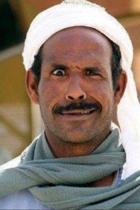 Homus politicus en Algérie ou le fou, les lièvres et les dindons