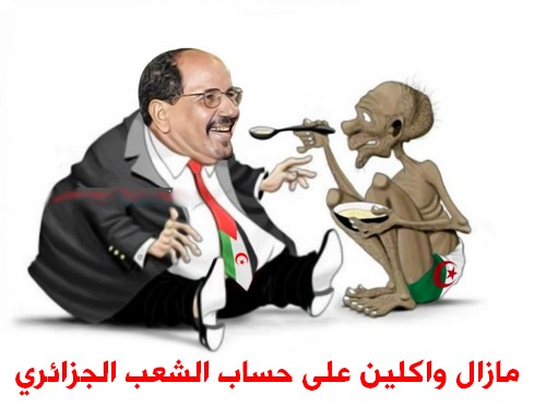 تقرير لمجلس الشيوخ الفرنسي : يحمل الجزائر مسؤولية الحدود ويتهمها بالتورط المباشر في الصحراء الغربية
