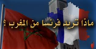 المغرب أصبح جحش فرنسا في إفريقيا