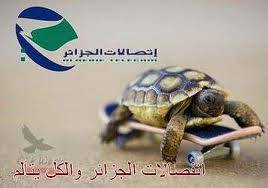 إخيرا ... إختلاسات الجزائر تفيق من سباتها