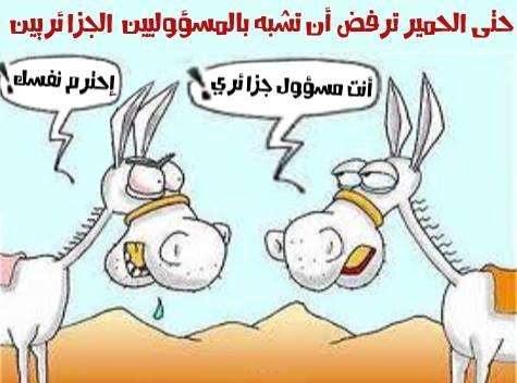 عندما نستمع لخطاب الوزير الأول وهو يخاطب المسؤولين المحليين، نشعر وكأننا في بلد غير الجزائر