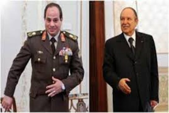 عودة السفير المغربي بمصر إلى بلاده بسبب تنسيق مصري جزائري لدعم جبهة البوليساريو