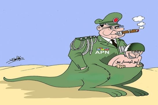 البوليساريو البعير الأجرب في شمال إفريقيا