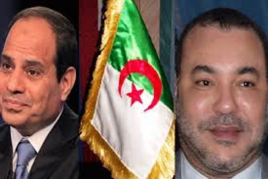 نزاع الصحراء الغربية بين الجزائر والمغرب يورطان مصر في مشكل مفتعل