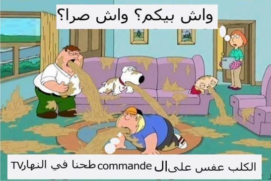 لا استمرارية للنهار دون استحمار واستغباء الشعب الجزائري