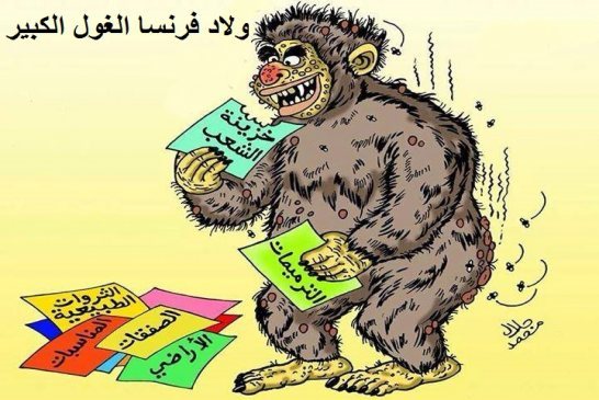 هل من أمل في الجزائر ؟