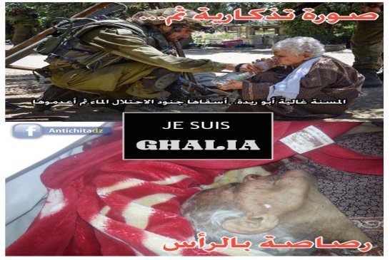 صورة تدكارية مع غالية أبوريدة ثم رصاصة في الرأس