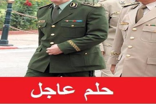 حلم عاجل أيقظني