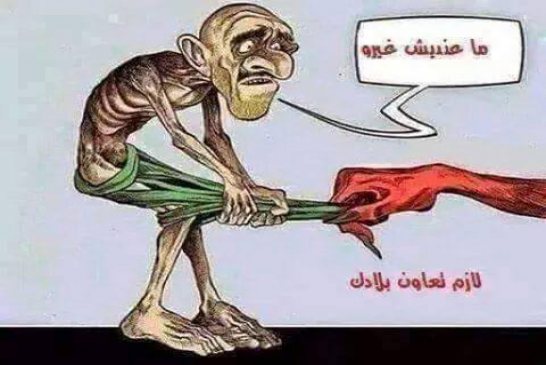 بلاد موح كول و روح  تهريب 400 مليون أورو إلى الخارج