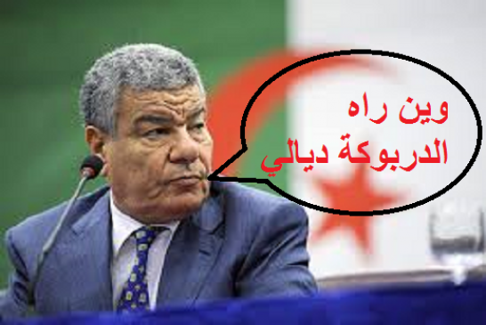 نظرية المؤامرة سعداني يدعو لحماية الجزائر من الأيادي الخارجية