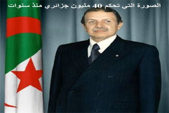 أي شرعية للرئيس والمؤسسات ؟!
