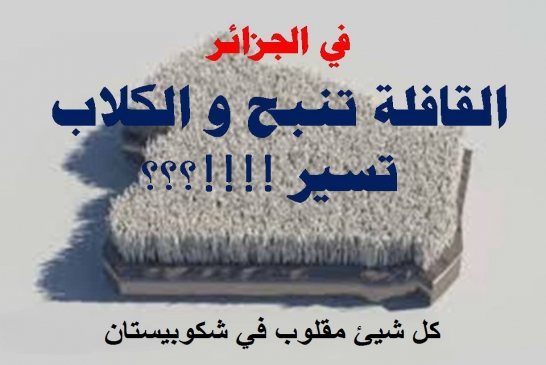 في عيد ميلاد الرئيس ...الدرس والمعلم