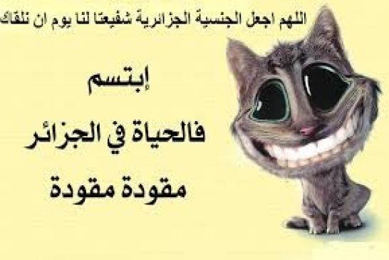 عبد المجيد سليني : الفساد الموجود في الجزائر ليس له نظير في العالم