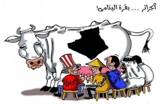 الجزائر تطلب تعزيز التعاون بين البلدان المصدرة للبترول لتفادي الغرق الاقتصادي