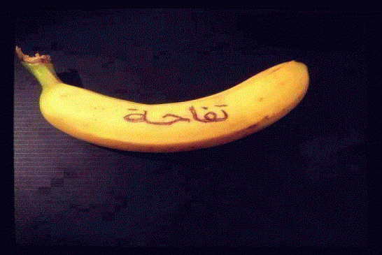 الدبلوماسية الجزائرية وتسويق الوهم؟!