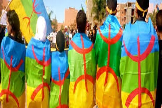 نشطاء الأمازيغ والحقد المجاني على كل من هو عربي