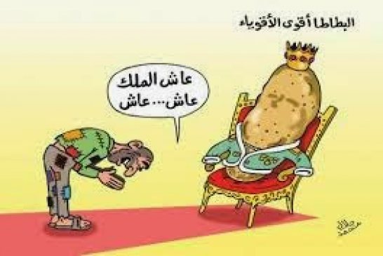 حالة وطن بلا وطنية؟!