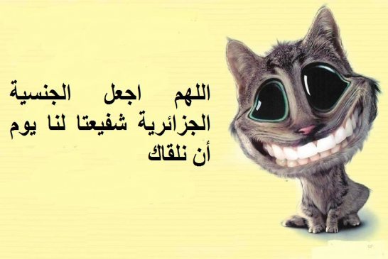 حلم لن يتحقق‬ أصبح ضربا من الخيال