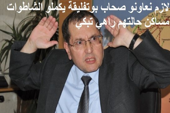 نور الدين بوطرفة : رفع تسعيرة الكهرباء والغاز واجب وطني