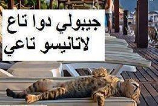كرهنا من سياسة الجزائر ومسؤوليها من الرئيس الى الموظفين كلش عوج