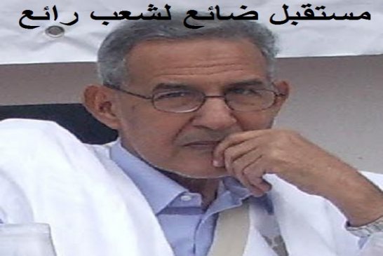 ﻿أحمد ولد داداه الأنظمة المستبدة نجحت جزئيا في التقاط أنفاسها والربيع العربي لا يزال حيا في ا