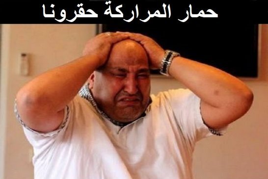صرخة حمار المراركة حقرونا وأنا من البوليساريو